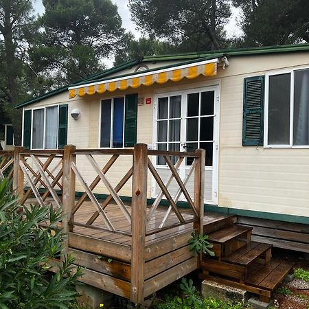 Mareblue Mobilhomes On Camping Mare E Pineta Lido di Spina Exterior photo